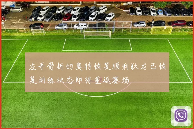 左手骨折的奥特恢复顺利狄龙已恢复训练状态即将重返赛场
